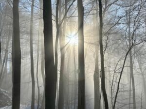 zycie – jest jak jest, a jest cudownie!