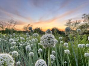 jak to jest, ze nieraz nam sie nie chce?